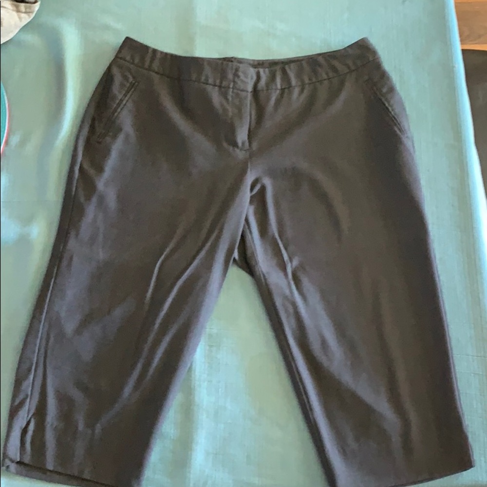 Dress pants-crops